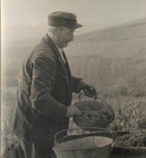 1904 - 1980 Marcel Droin 